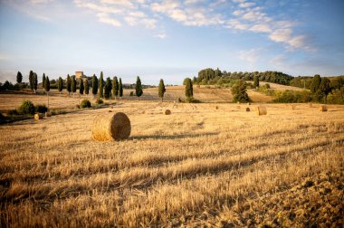 Val D'orcia, Tuscany. Tipik Toskana ile yuvarlak balya hasat sonrası manzara. Siena, İtalya.