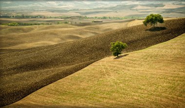 Val d'Orcia - Siena, Italy: The Val d'Orcia, is a region of Tuscany, with gentle hills cultivated mainly with cereals and after the harvest the land is plowed. Italy. clipart
