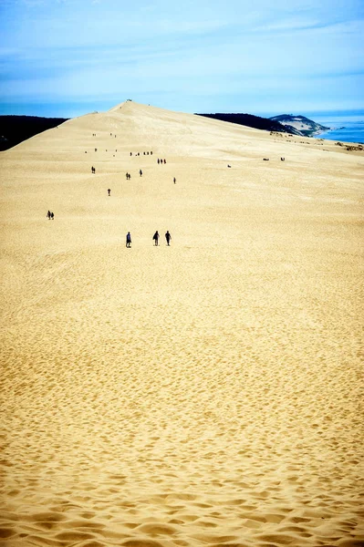 沙丘杜皮 在欧洲 法国波尔多湾 阿基坦大区 大西洋最高的沙丘 Dune — 图库照片