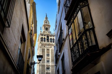 Giralda, Seville, Endülüs, İspanya Sevilla Katedrali çan kulesi