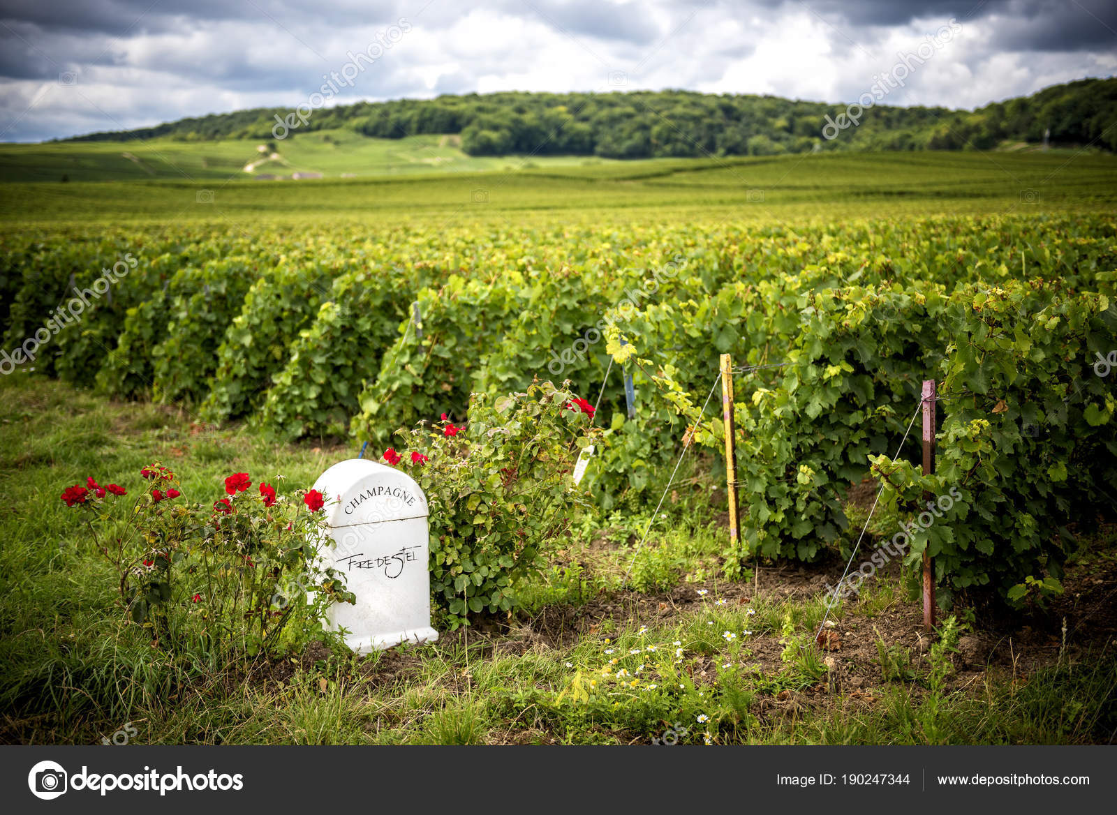 Champagne August 2017 Fredestel Champagne House Situated
