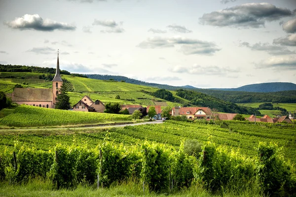Пейзаж Виноградников Эльзасе — стоковое фото