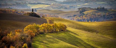 Tuscany. Toskana manzara, gün batımını ışığında tepeler haddeleme. İtalya