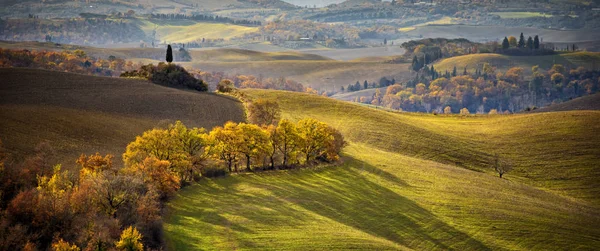 Toscana Paisagem Toscana Colinas Ondulantes Luz Pôr Sol Itália — Fotografia de Stock