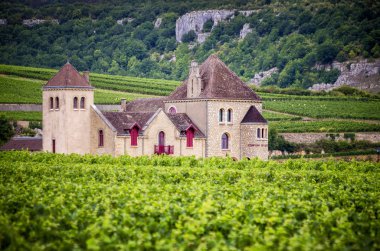 Burgundy, Chateau de La Tour. Fransa. Yaklaşık 50 hektar bir alan üzerinde hediye Cte de Nuits bir Grand Cru Unvan, aynı zamanda bir etki alanı olabilir mi.