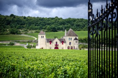 Burgundy, Chateau de La Tour. Fransa. Yaklaşık 50 hektar bir alan üzerinde hediye Cte de Nuits bir Grand Cru Unvan, aynı zamanda bir etki alanı olabilir mi.