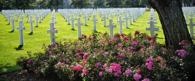 Omaha Beach, Normandy, Fransa için Amerikan mezarlığı.
