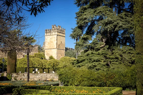 Giardini Dell Alcazar Los Reyes Cristianos Cordova Spagna — Foto Stock