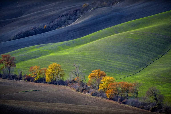 Tuscan Hills Autumn Tuscan Landscape Tuscany Italy — Stock Photo, Image