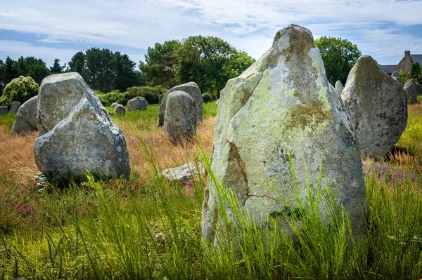 Carnac Intrigante Pedra Carnac Bretanha Noroeste França Criado Torno 3000 — Fotografia de Stock