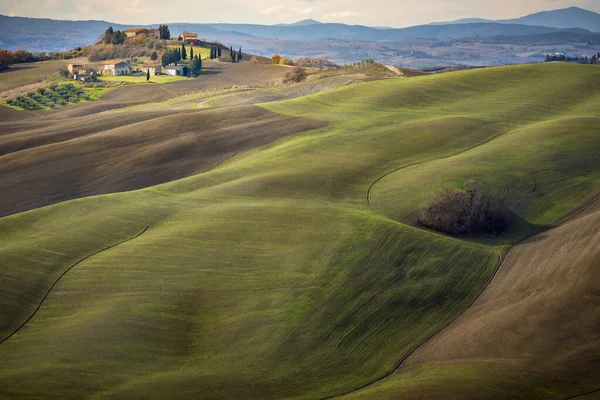 Tuscan Hills Autumn Tuscan Landscape Tuscany Italy — Stock Photo, Image