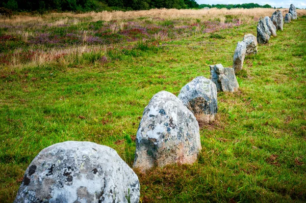 Carnac Pierres Debout Fascinantes Carnac Bretagne Dans Nord Ouest France — Photo