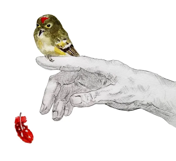 Aquarela pintura de pássaro verde sentado na caneta desenhada mão — Vetor de Stock
