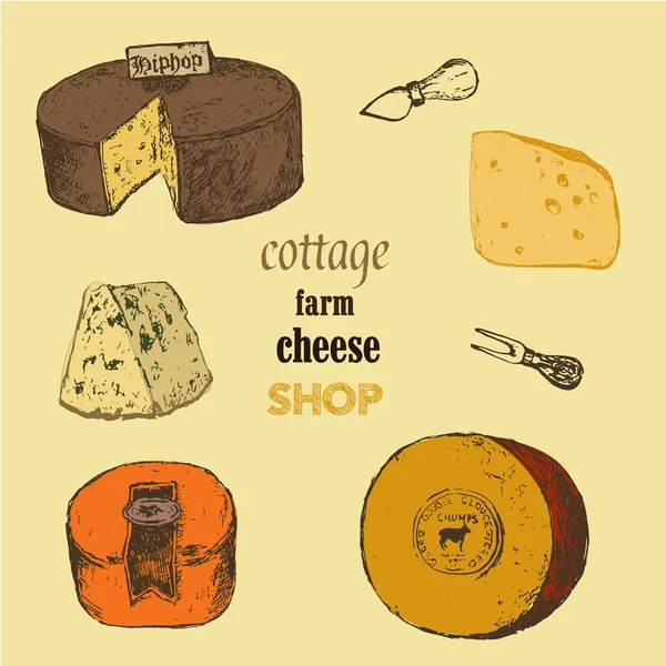 Cheese collection sketch colored vector illustration. Hand drawn sorts of cottage organic production cheeses. Eco goat milk shop or market. — Stock Vector