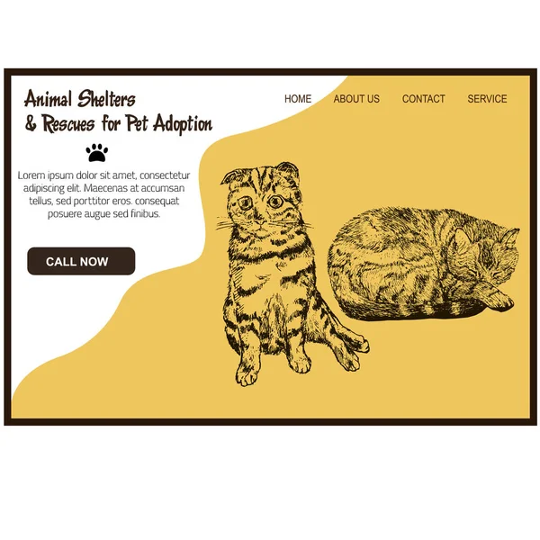 Abrigo de animais e resgates para adoções de animais de estimação com adotar modelo de teia de esboço de gato, ilustração vetorial . — Vetor de Stock