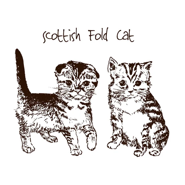 Gatinhos bonitos mão desenhado esboço vetor ilustração, gato fofo bonito . — Vetor de Stock