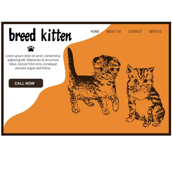 Web petshop para gatinhos mão desenhada esboço vetor ilustração, bonito macio gato site modelo . — Vetor de Stock