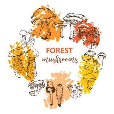 Renkli fırça boyası ve vejetaryen yemek klasiği illüstrasyonlu doğrusal çizim mantarları..