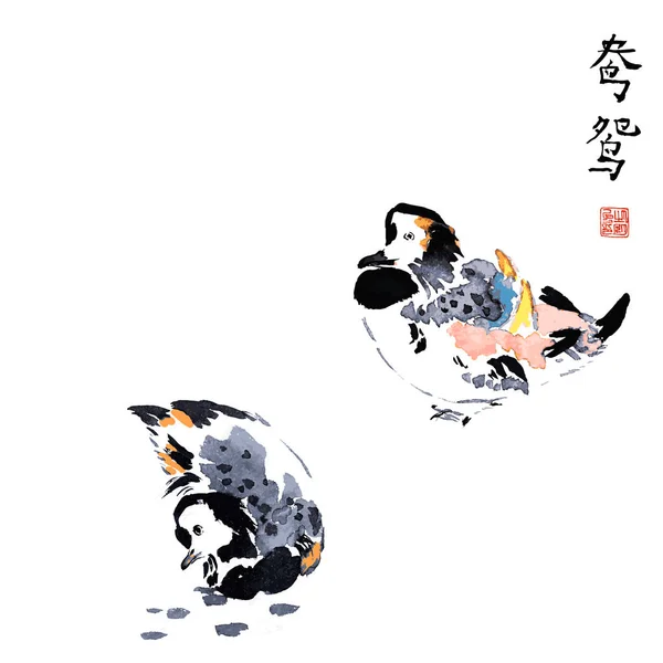 Mandarín patos natación tradicional chino tinta boceto pintura aislada acuarela ilustración . — Vector de stock