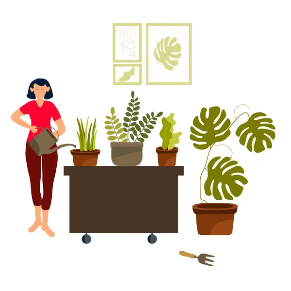 Jeune femme arrosant des plantes d'intérieur à la maison composition isolée, s'occupant de plantes d'intérieur, illustration vectorielle de dessin animé plat passe-temps . — Image vectorielle