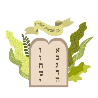Jewish holiday Shavuot, green leaves and hebrew text means happy shavuot festive and jewish letters abc cartoon vector illustration isolated on white. vector Jewish holiday Shavuot, green leaves and hebrew text means happy shavuot festive and jewish letters abc cartoon vector illustration isolated on white. vector