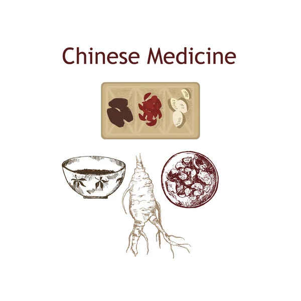 Medicina chinesa, ervas e plantas, zhen shen banner ilustração vetor raiz. Medicina alternativa . — Vetor de Stock