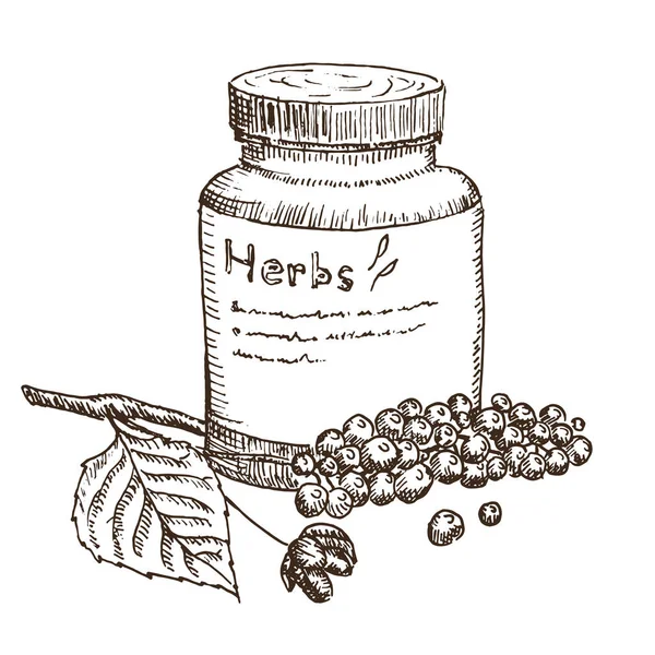 Medical herbs collection of medicinal plants hand drawn vintage sketch vector illustration. — Stock Vector
