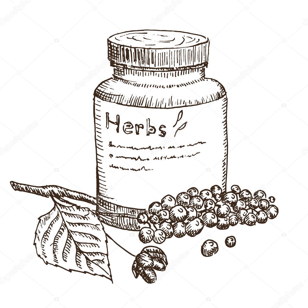 Medical herbs collection of medicinal plants hand drawn vintage sketch vector illustration.