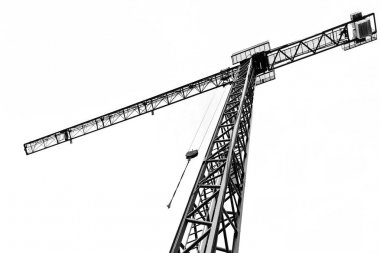 Siyah ve beyaz vinç Jenny beyaz üzerine izole edildi.