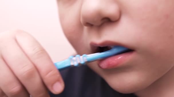 Niño cepillándose los dientes en el espejo — Vídeo de stock