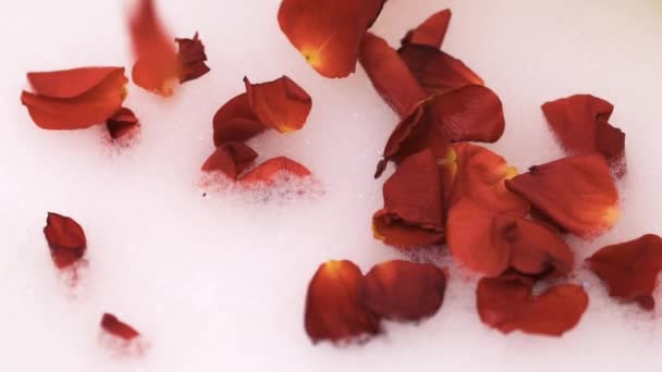 Pink bubble bath falling petals — Stock Video