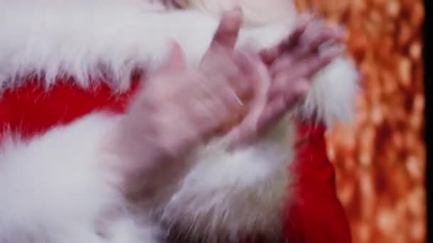 Celebrating Christmas Applause — Stock Video