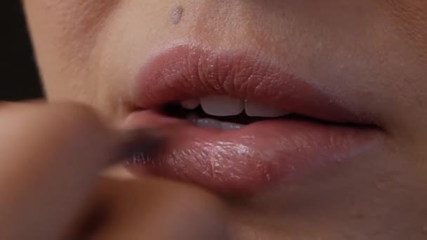 Make-up artiest die lippenstift aanbrengt — Stockvideo