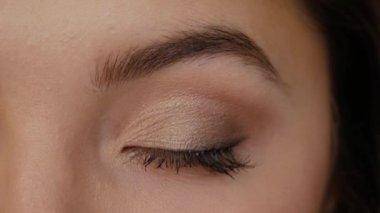 Green gray brown eye close-up