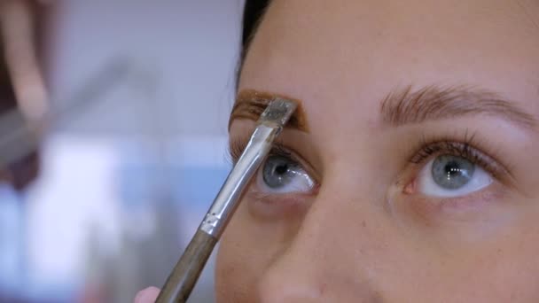 Eyebrow lamination procedure — Stock Video
