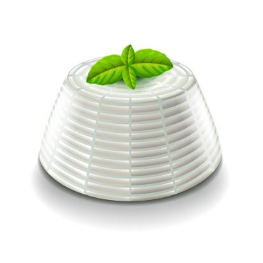 Ricotta peyniri izole üzerinde beyaz vektör