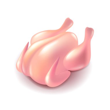 Çiğ tavuk izole üzerinde beyaz vektör