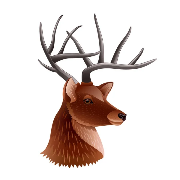 Perfil de cabeza de ciervo aislado en vector blanco — Vector de stock