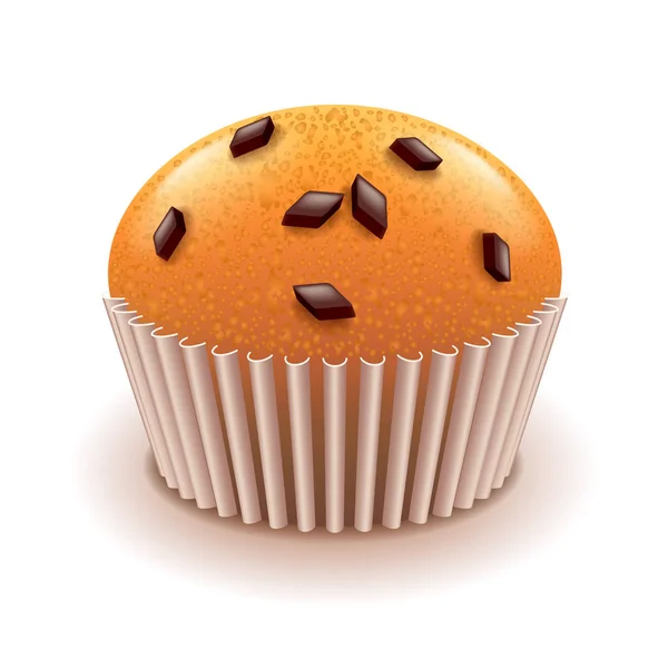 Muffin aux miettes de chocolat isolé sur vecteur blanc — Image vectorielle