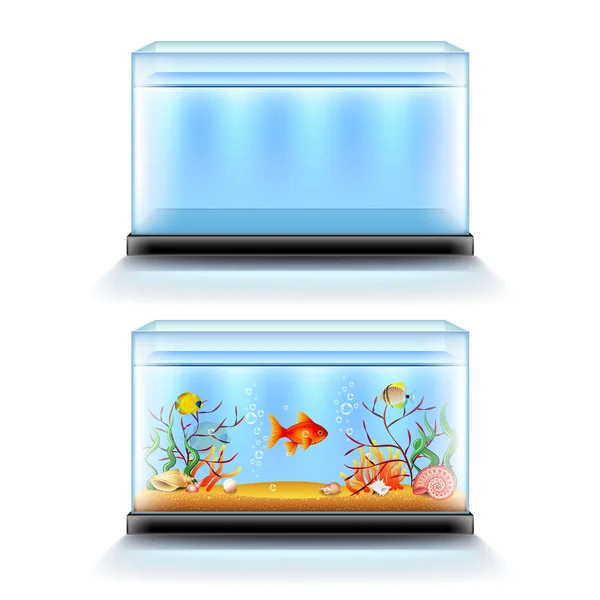 Aquarium with fish and blank isolated on white vector — Stock Vector