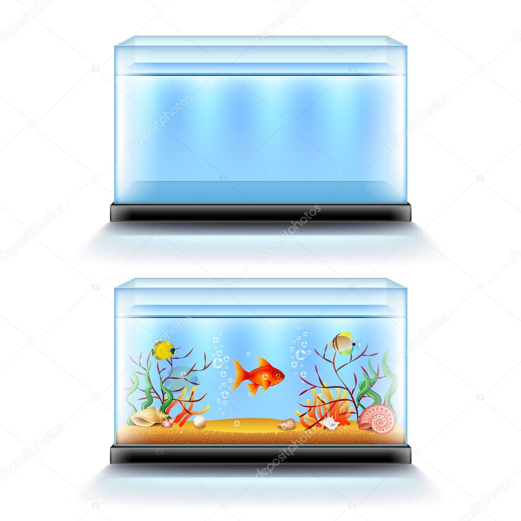 Aquarium with fish and blank isolated on white vector
