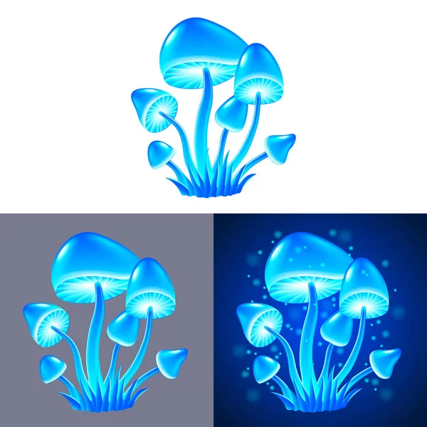 Magic mushrooms isolated vector — Stock Vector