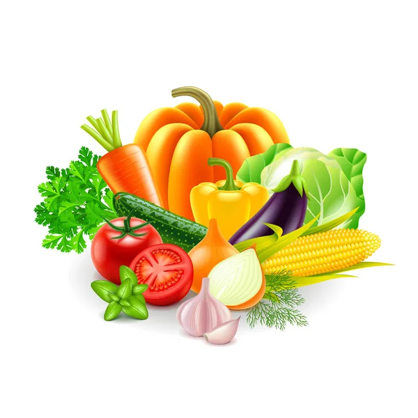 Vegetables on white background vector — Stock Vector