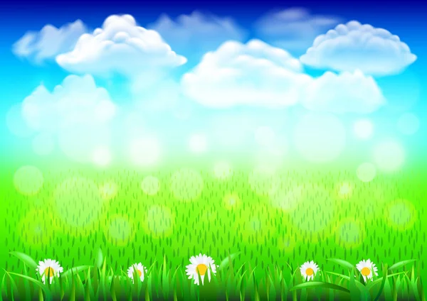 Field with green grass 3d realistic vector background — Stock Vector