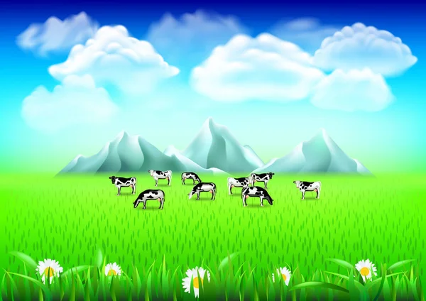 Cows on green field realistic vector background — Stock Vector