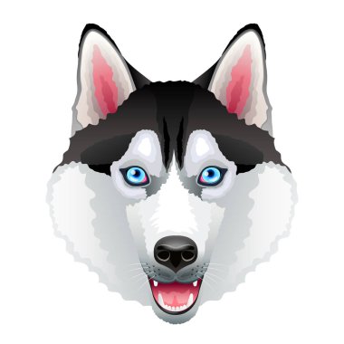 Husky köpek portre üzerinde beyaz vektör izole