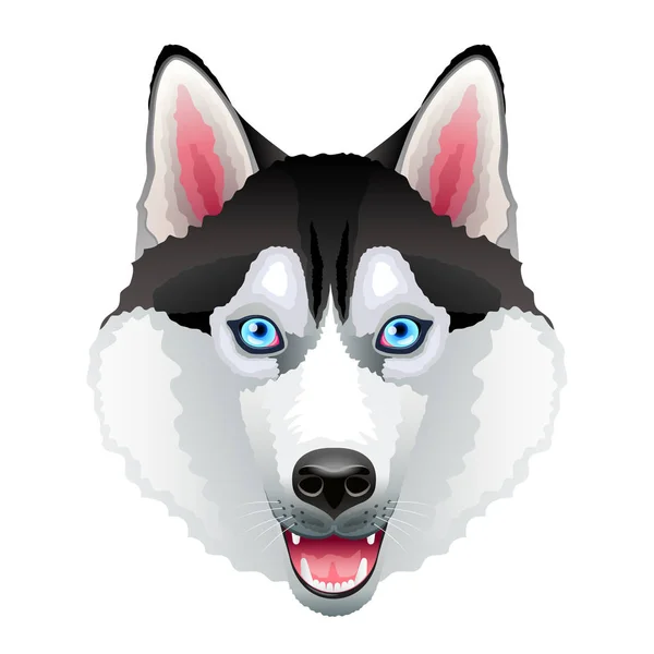 Husky hond portret geïsoleerd op witte vector — Stockvector