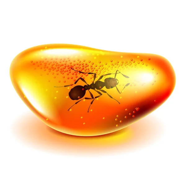 Amber with ant isolated on white vector — Stock Vector