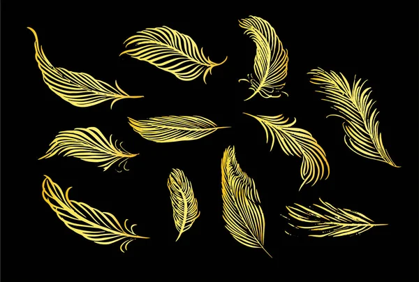 Elle çizilmiş tüy topluluğu. Dekoratif hayvanlar kuşlar tüylerini kümesi. El vektör sanat çekilmiş. Fırça kalem altın mürekkep illüstrasyon — Stok Vektör