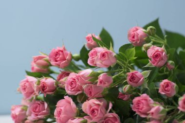 blu arka plan, buket Pembe çiçek gül